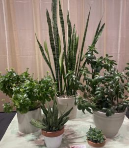 Horticulture