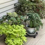 Planters